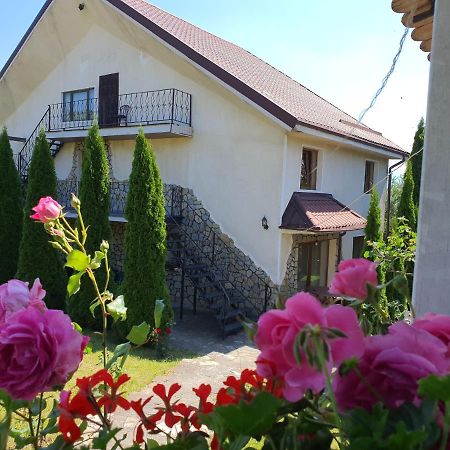 Casa Carpati Apartment Zarnesti Ngoại thất bức ảnh